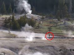 Yellowstone National Park woman suffers burns