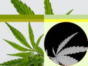 Benefits of CBD
