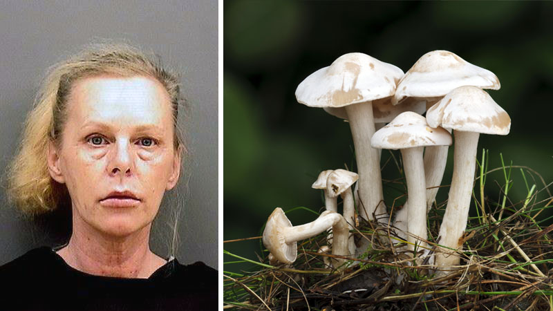 Indiana woman poisons husband w/ mushrooms
