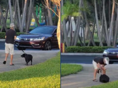 Boynton Beach dog owner