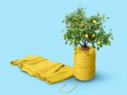The Essentials You Need to Remember For a Sustainable Wardrobe Sustainable Wardrobe
