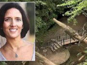 Ohio teen pleads guilty to pushing log, killing mom of four Jaden Churchheus pleads guilty