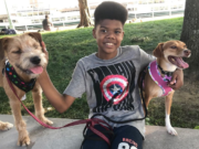 13-year-old Manhattan boy falls 20 stories to his death (while doing homework) Matthew Pierre Manhattan Plaza death