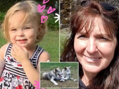 Sophia Scraver Michigan 2 year old girl arm ripped off wolf dog