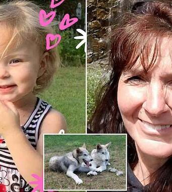 Sophia Scraver Michigan 2 year old girl arm ripped off wolf dog