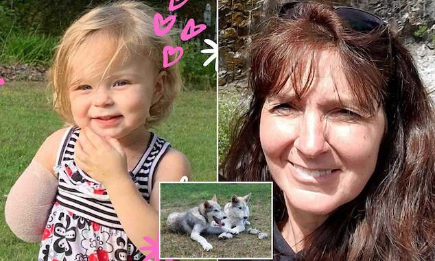 Sophia Scraver Michigan 2 year old girl arm ripped off wolf dog