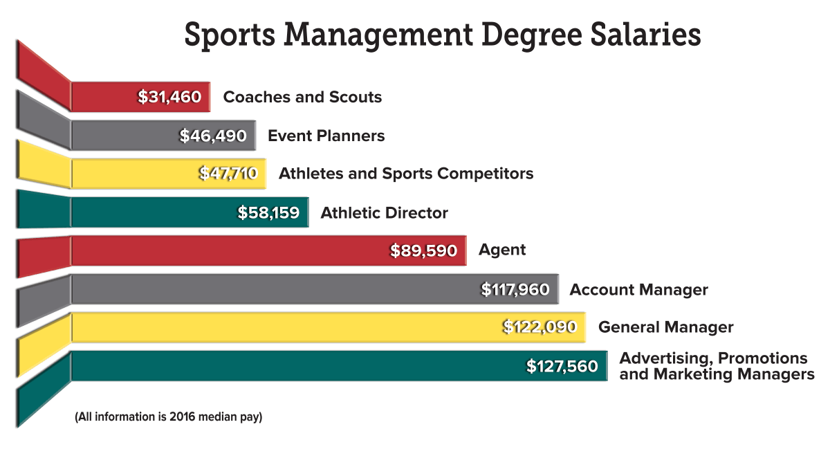 Sports Management Major: career choices & opportunities available