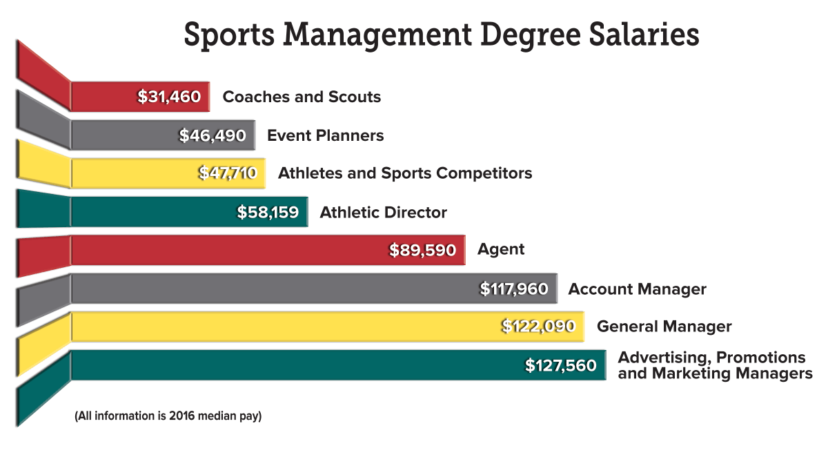 What Is The Average Salary For A Sports Management Degree