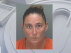 Kari Turner Pinellas County