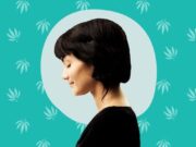 A Beginners Guide to CBD A Beginners Guide to CBD
