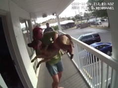 Allison Murphy Daytona Beach dog balcony