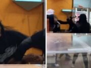 Union City Dunkin Donuts stabbing