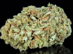 CBG Hemp Flower