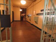 Tips To Use Dallas County Jail Inmate Search Database Online Dallas county jail inmate search