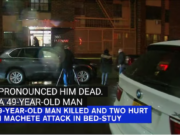 Dayquan Dubose Bedford Stuyvesant machete attack