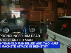 Dayquan Dubose Bedford Stuyvesant machete attack