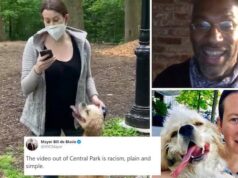 Amy Cooper Central Park Karen charges dismissed