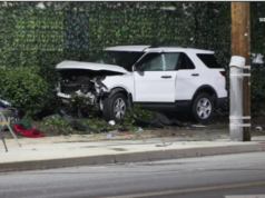 Escondido 13 year old female driver