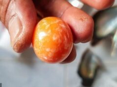 Thai fisherman finds rare orange pearl