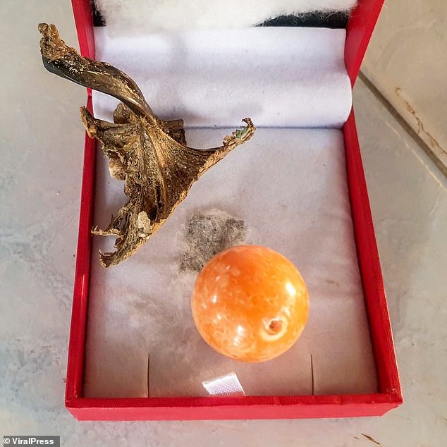 Thai fisherman finds rare orange pearl a