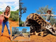 Merelize Van Der Merwe hunter giraffe heart
