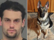 Peru NY man kills puppy, throws it in trash Raymond Mangieri Peru NY