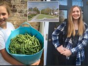 Henrico, Virginia teen girl, 13, shot dead by juvenile boy Lucia Whalen Bremer
