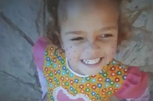 Ana Livia Lopes da Silva Brazil three year old girl beaten death