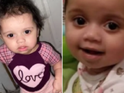 Family dog kills Illinois 1 year old girl who got too close to food bowl A’myrikal Hull Springfield, Illinois 1-year-old baby girl