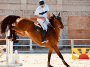 How to Dress Like a True Equestrian True Equestrian Dress