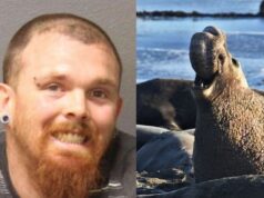 Jordan Gerbich sentenced