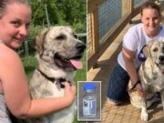 Michigan mom of four, 35, dies from blood clot 11 days after J&J vaccine Anne VanGeest J&J vaccine
