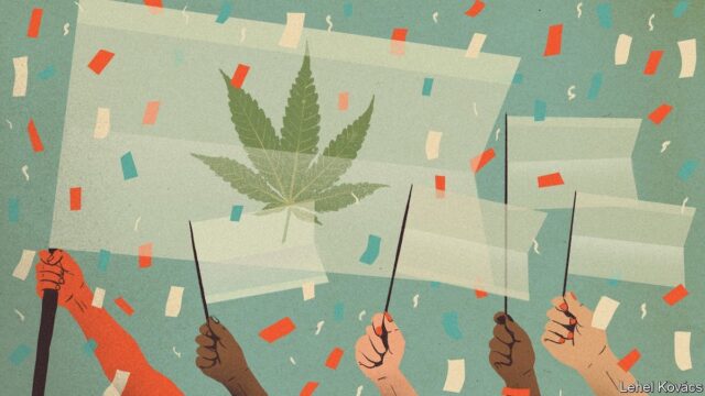 Changing attitudes towards weed