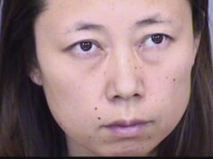 Yui Inoue Arizona mother kills children meat cleaver