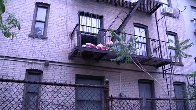 Brownsville mother throws kids out window