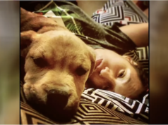 Asha Nieves dog