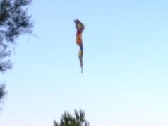 Albuquerque Hot Air Balloon Crash