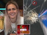 Woman who stuck head out of train window killed by tree branch Beth Roper train