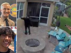 Trooper George Smyrnios tases Jack Rodeman Florida teen
