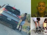 Video: El Paso Tx man abandons husky by side of road arrested