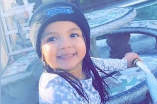 Harbor City 4 year old girl killed in hit and run crash