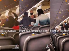 Frontier Airlines brawl white man black man