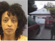 Sandusky Ohio dog owner locks pit bull in hot car to die