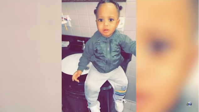 19 month old Brooklyn boy mauled to death by family dog.