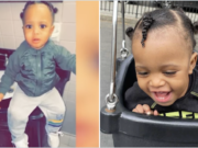 19 month old Brooklyn boy mauled to death by family dog: dad arrested 19 month old Brooklyn boy mauled to death by family dog.