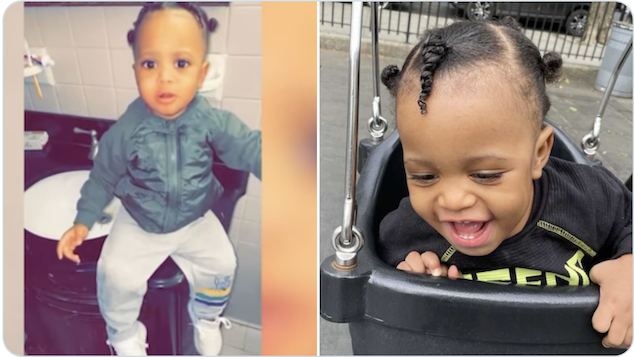 19 month old Brooklyn boy mauled to death by family dog.