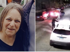 Yvonne Ruzich 70 year old Chicago woman shot dead in Hegewisch parked car