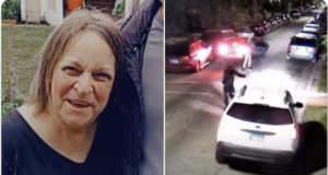 Yvonne Ruzich 70 year old Chicago woman shot dead in Hegewisch parked car