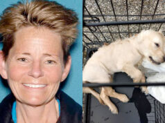 Tonya Fea Jefferson NJ woman drowns puppy dog
