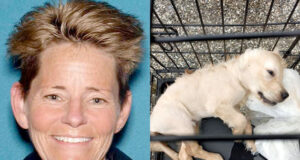 Tonya Fea Jefferson NJ woman drowns puppy dog